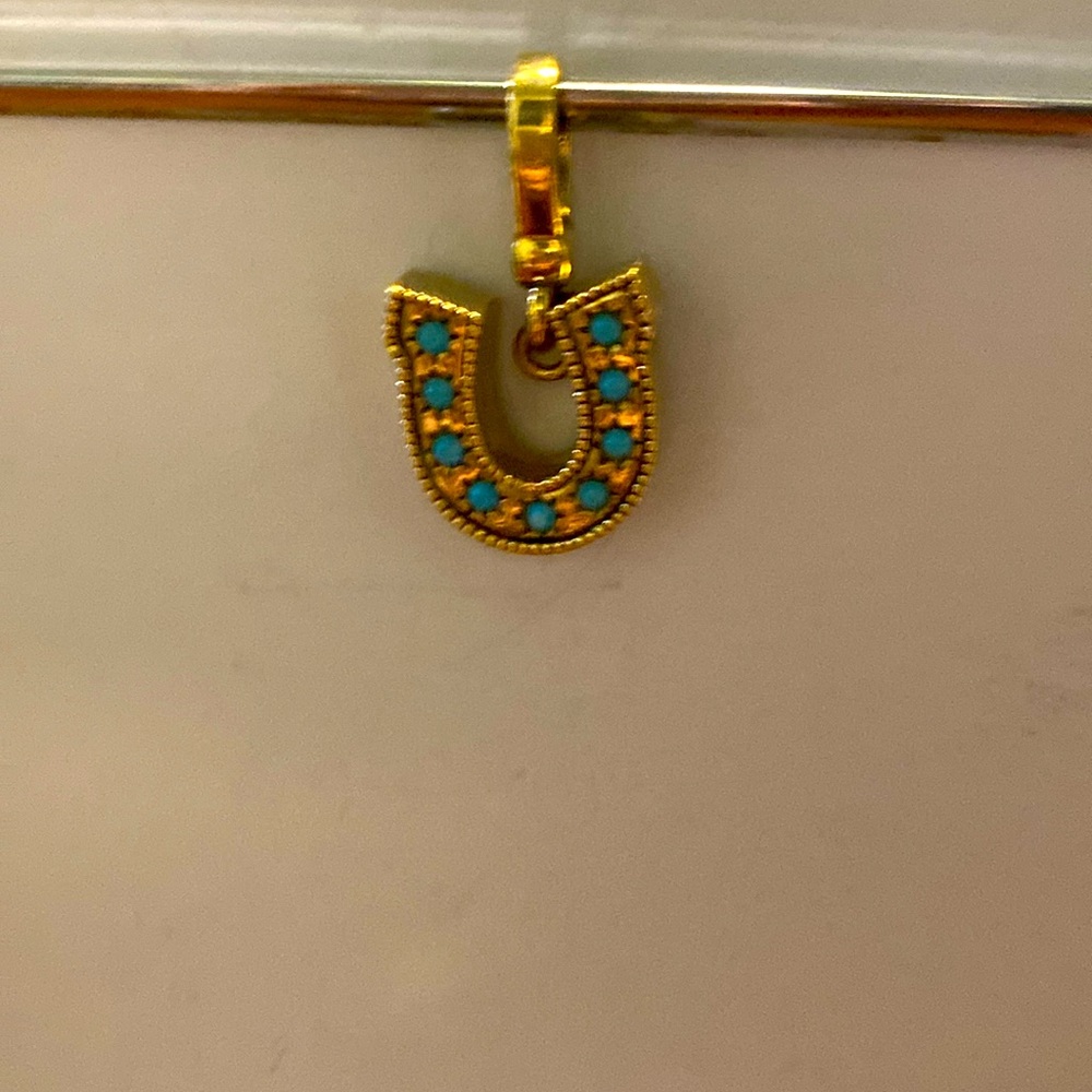 Horseshoe Charm